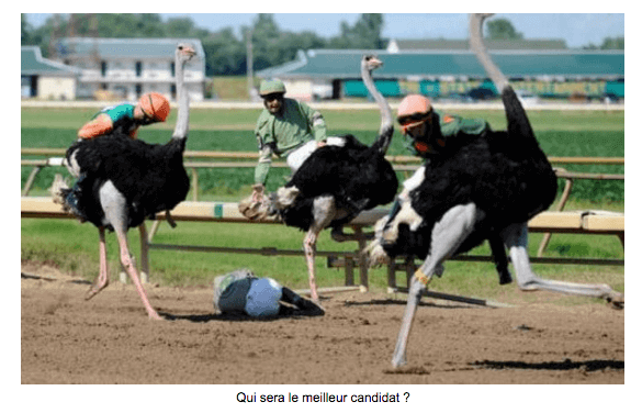 a-b-testing-newsletter-content-marketing