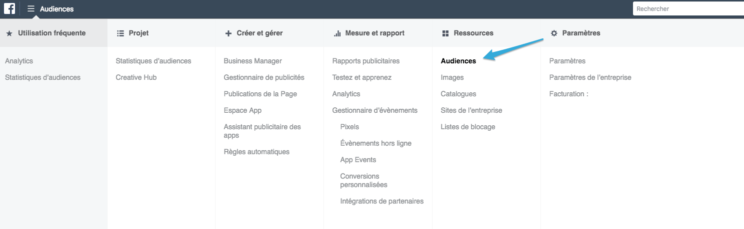 audience : pixel facebook et demand generation avec LinkedIn