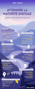 Déclinaison de contenus : infographie maturité digitale