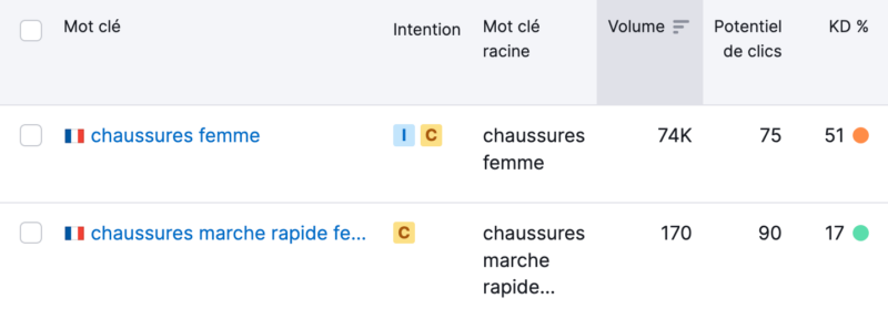 Exemple mot-clé longue traîne